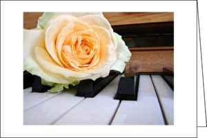 Rose on piano